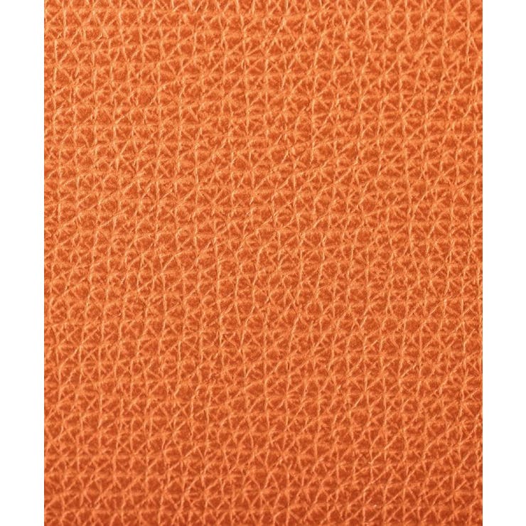 クラシコ2つ折り財布 | TAKEO KIKUCHI | 詳細画像9 