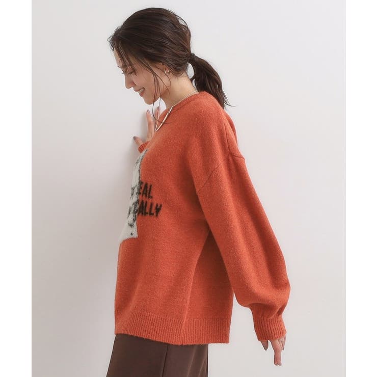 【旭山動物園応援商品】ゆるアニマル ふわふわジャカードニット | Cutie Blonde | 詳細画像14 