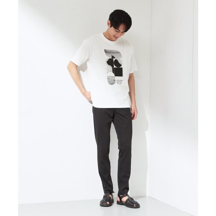 【夏コーデの主役に】グラフィックコットン半袖Tシャツ CAT LANDSCAPE | THE SHOP TK | 詳細画像3 