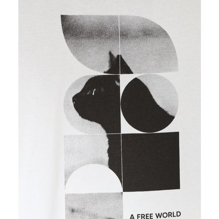 【夏コーデの主役に】グラフィックコットン半袖Tシャツ CAT LANDSCAPE | THE SHOP TK | 詳細画像4 