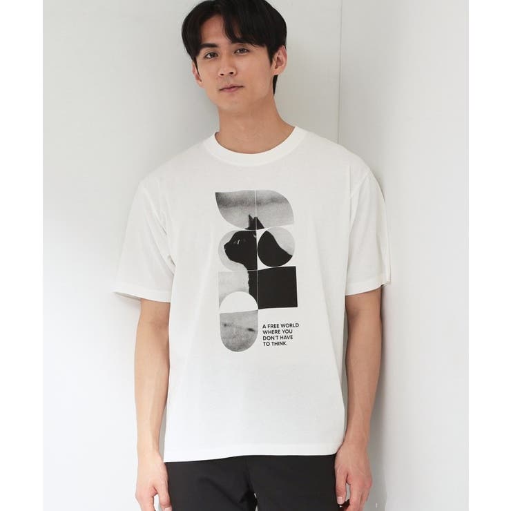 オフホワイト(003) | 【夏コーデの主役に】グラフィックコットン半袖Tシャツ CAT LANDSCAPE | THE SHOP TK