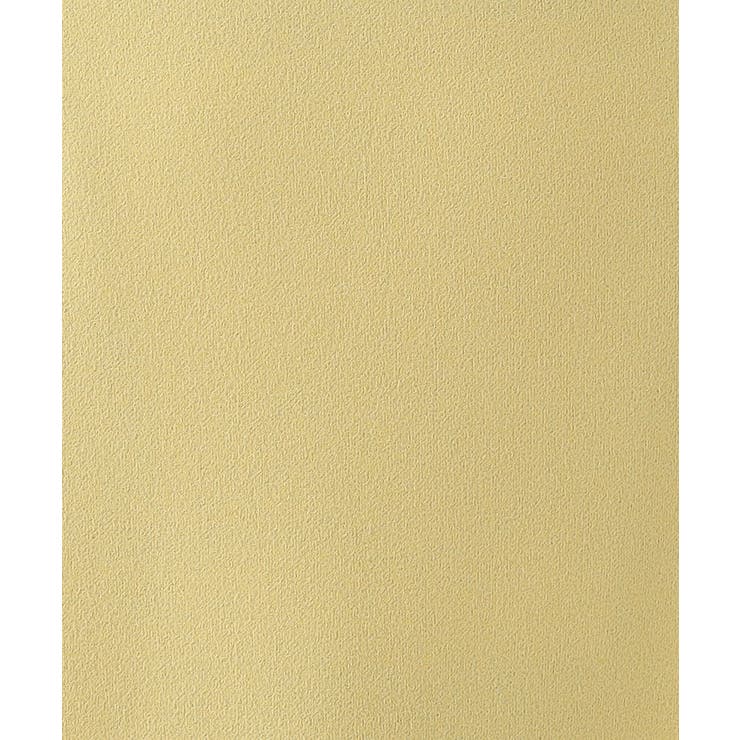 【洗える】洗濯後しわになりにくい カットジョーゼット ナロースカート | SHOO・LA・RUE | 詳細画像22 