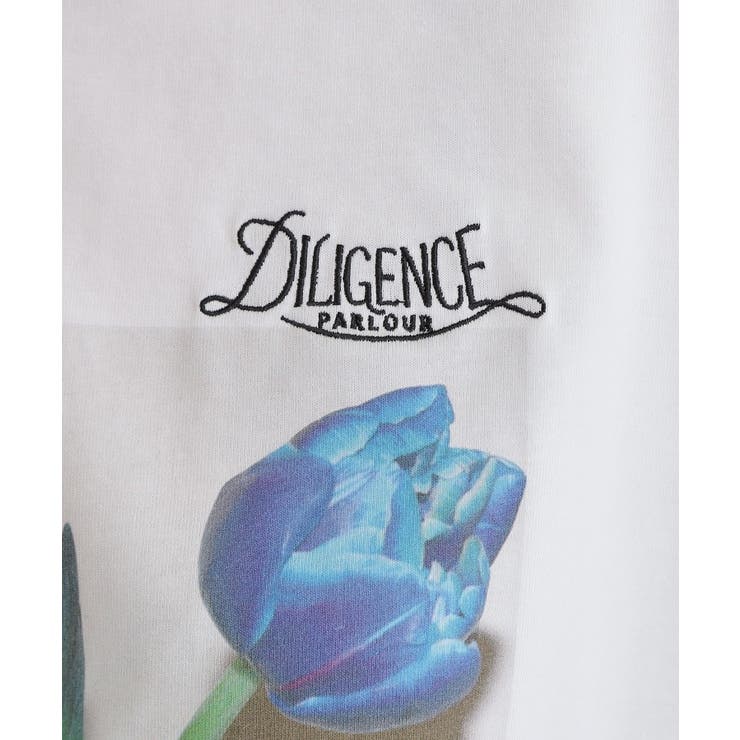 【コラボITEM】DILIGENCE PARLOUR フォトフレアTシャツ | grove | 詳細画像10 