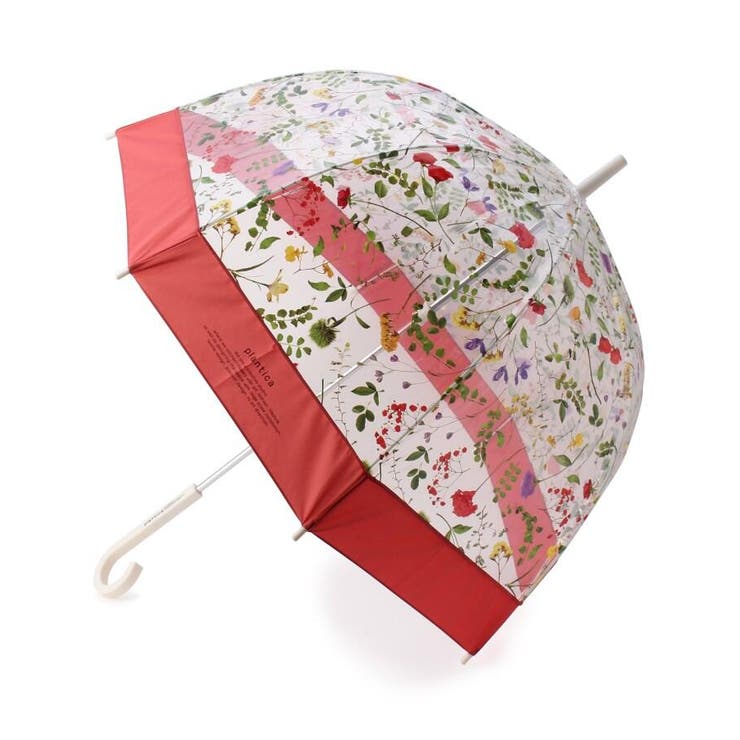 Wpc フラワービニール傘 長傘 品番 Wrdw Grove グローブ のレディースファッション通販 Shoplist ショップリスト Wpc フラワービニール傘 長傘 品番 Wrdw Grove グローブ のレディースファッション通販 Shoplist ショップリスト
