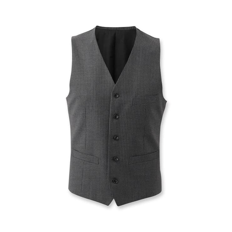 【DORMEUIL AMADEUS365】ピンストライプ ベスト/3ピース対応 | TAKEO KIKUCHI | 詳細画像1 