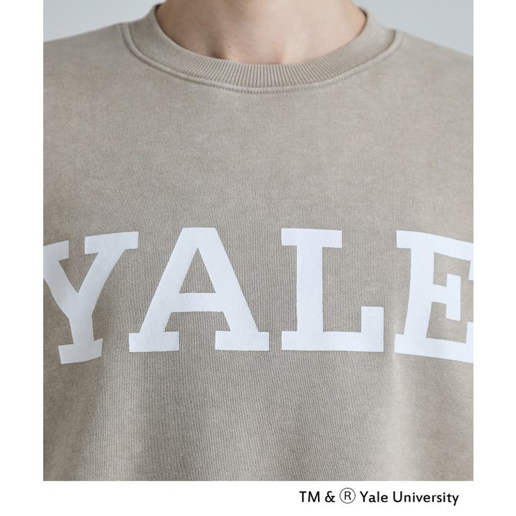 YALEロゴスウェット | tk.TAKEO KIKUCHI | 詳細画像13 
