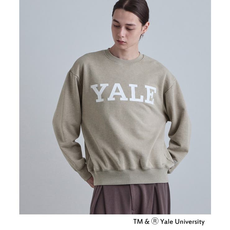 トープ(054) | YALEロゴスウェット | tk.TAKEO KIKUCHI