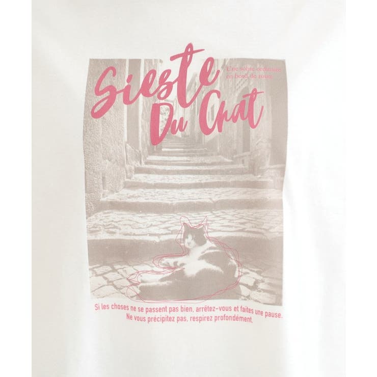 【綿100%/プチプラ】選べる3柄 大人のためのプレーンTシャツ | SHOO・LA・RUE | 詳細画像22 