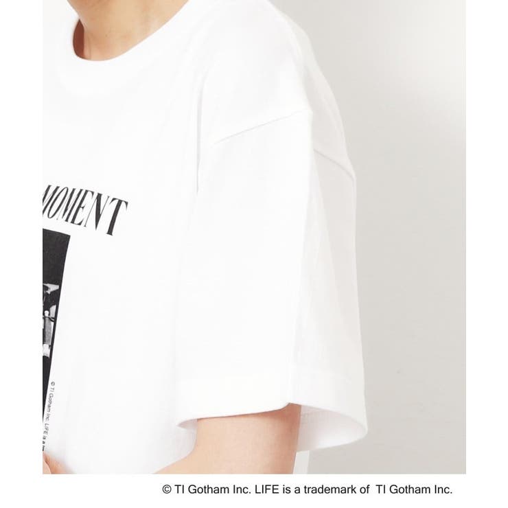 レディフォトコンパクトTシャツ 新品未開封品】レディフォトコンパクトTシャツ