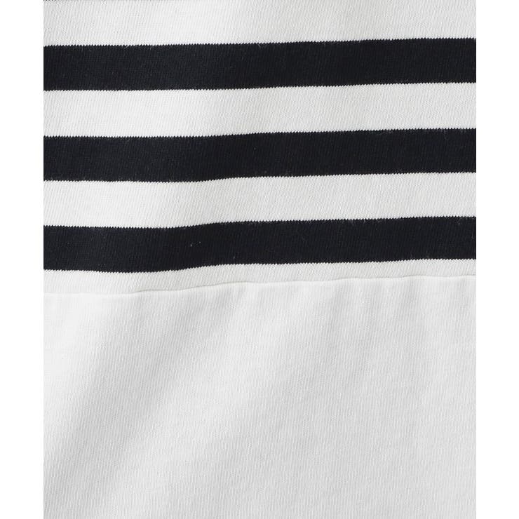 ピグメントボーダー天竺 | Dessin | 詳細画像4 