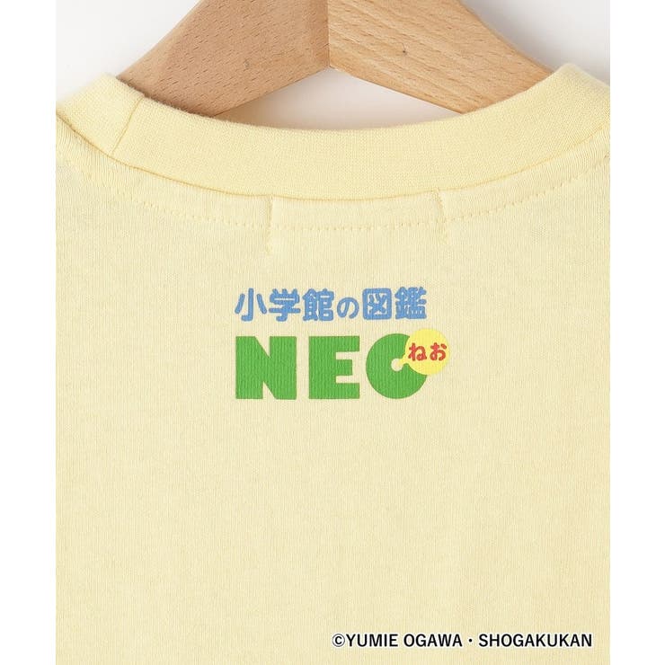 【小学館の図鑑NEO コラボ】恐竜Tシャツ | Dessin | 詳細画像4 