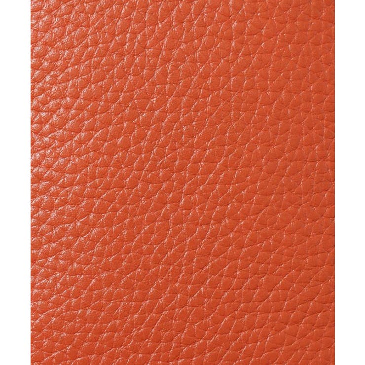 【驚くべき収納力】カラードコンパクト財布 | TAKEO KIKUCHI | 詳細画像9 