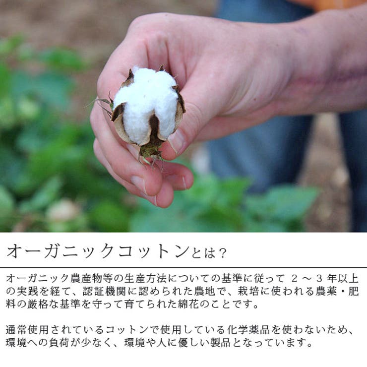 詳細2