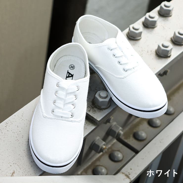 ホワイト | オフィス カジュアル セットアップ | Zeal Market 