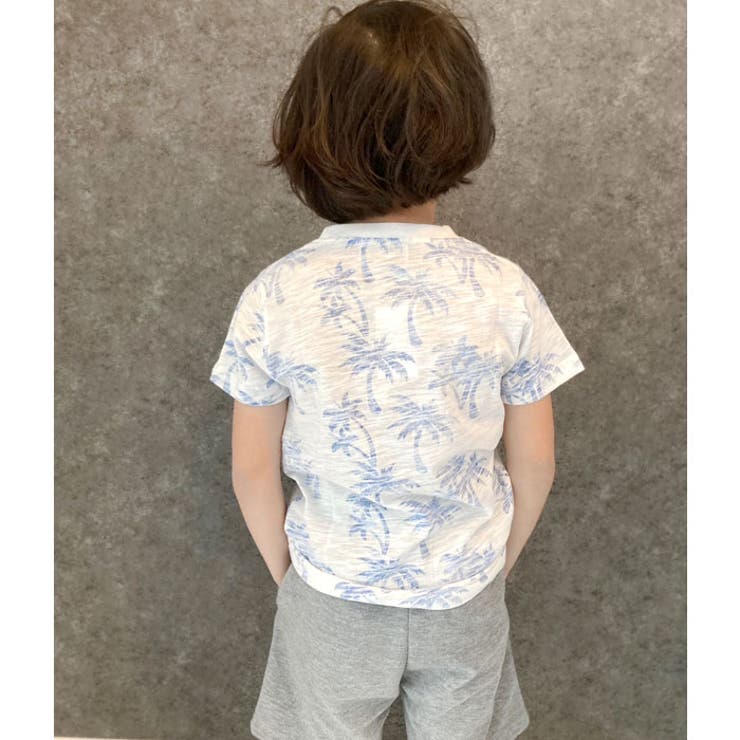 キッズ子供服TシャツプリントTシャツ男の子半袖Tシャツティーシャツボーイズジュニア裏刷りプリントヤシの木リゾートNEVネブサーフ韓国子供服110cm120cm130cm140cm150cm160cm「N29-03」