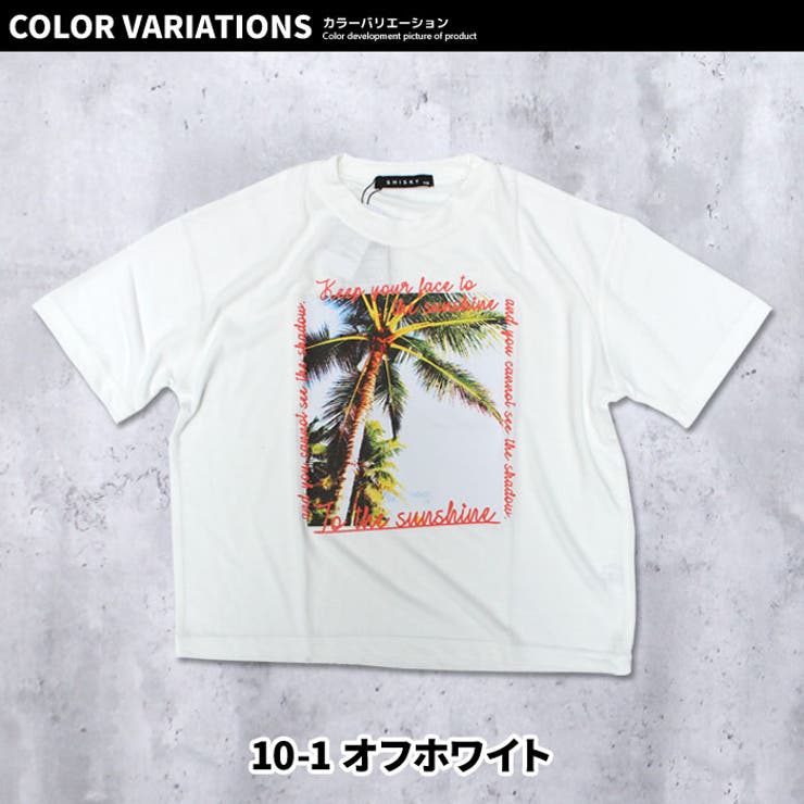 キッズＴシャツ子供服半袖5分袖男の子ボーイズティーシャツプリントグラフィック転写ジュニア韓国子供服110cm120cm130cm140cm150cm160cm「520-09」