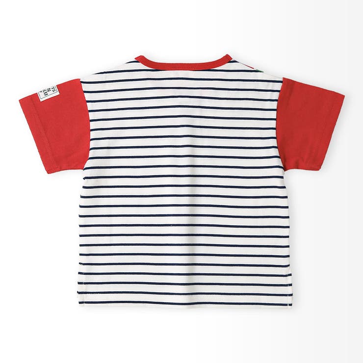 キッズTシャツポロシャツ半袖襟付きボーダーTくだものスイカレモン男の子女の子【フルーツ天国】ベビートップスカットソー切替配色デザイン天竺フロントボタン食べ物フルーツ果物すいか檸檬プリント子ども809095100110120130