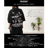 2ND ARCHIVE 猫 | ONE 4 PREMIUM | 詳細画像4