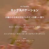 DearIrean ハンドマスク 手袋型 保湿パック 5回分 | Dear Irean | 詳細画像9 