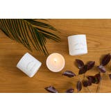 フレグランスキャンドル | GRASSE TOKYO | 詳細画像1 