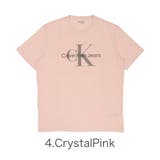 カルバンクライン Tシャツ 半袖 | 99HeadwearShop【WOMEN】 | 詳細画像5