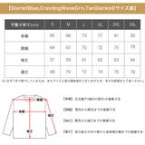 チャンピオン リバースウィーブ プルオーバー | 99HeadwearShop | 詳細画像8