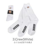 Dickies ロゴ ソックス | 99HeadwearShop | 詳細画像6