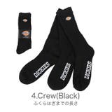 Dickies ロゴ ソックス | 99HeadwearShop | 詳細画像7