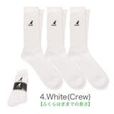 カンゴール ロゴ ソックス | 99HeadwearShop【WOMEN】 | 詳細画像5