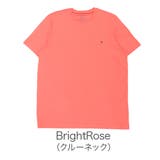 BrightRose(クルーネック) | トミーヒルフィガー Tシャツ 半袖 | 99HeadwearShop【WOMEN】