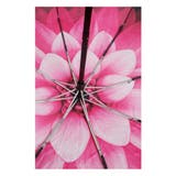 華やかな大輪の花が咲き誇る晴雨兼用折りたたみ傘 レディース ファッション | Sawa a la mode | 詳細画像10