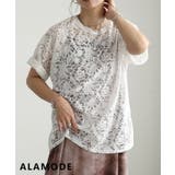 オフホワイト | 華やぎをプラスするシアーレース半袖プルオーバー レディース トップス | Sawa a la mode
