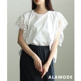 ホワイト | さりげなく華やぎを添えるレーススリーブプルオーバー レディース トップス | Sawa a la mode