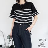 ブラック×オフホワイト | パネルボーダー風半袖トップス | A.NATALY