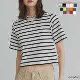 シンプル無地 ボーダー ショート丈ミニTシャツ | ad thie | 詳細画像1