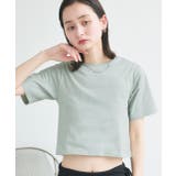 ミント | シンプル無地 ボーダー ショート丈ミニTシャツ | ad thie