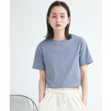 ブルーグレー | シンプル無地 ボーダー ショート丈ミニTシャツ | ad thie