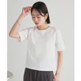 【2025SS新作】ベーシックコンパクトTシャツ | ad thie | 詳細画像16 