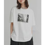 【2026SS新作】アソート フォトプリントTシャツ | ad thie | 詳細画像5 