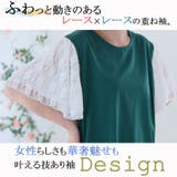 袖2段レース カットソー プルオーバー | A Happy Marilyn | 詳細画像4