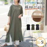 スタンダードデザインが一番良い! しゃり伸び 楊柳 | A Happy Marilyn | 詳細画像1