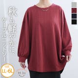 ニットとカットのいいとこどり! ケーブルニットソー ぽわん袖 | A Happy Marilyn | 詳細画像1