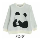 パンダ | 柄が選べる!可愛さ炸裂!!選んで楽しい!! ハッピージャガード ゆるニット | A Happy Marilyn