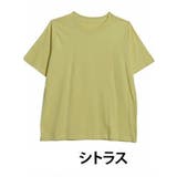 シトラス | USAコットン100％ ベーシックTシャツ 大きいサイズ | A Happy Marilyn
