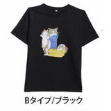 Bタイプ/ブラック(タグ黒) | オノマイ ソフトクリーム猫 ダンボール猫 | A Happy Marilyn