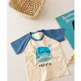 typeC | 新作 キッズ tシャツ | aimoha kids