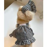 チェック柄ペットウェア | aimoha  | 詳細画像3 