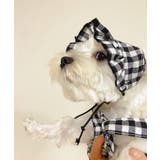 チェック柄ペットウェア | aimoha  | 詳細画像4 