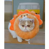 ブラウン | ペット用エリザベスカラー ペット 服 | aimoha 