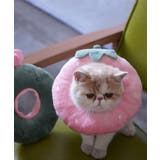 ピンク | ペット用エリザベスカラー ペット 服 | aimoha 